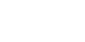 Alegria Exhibition